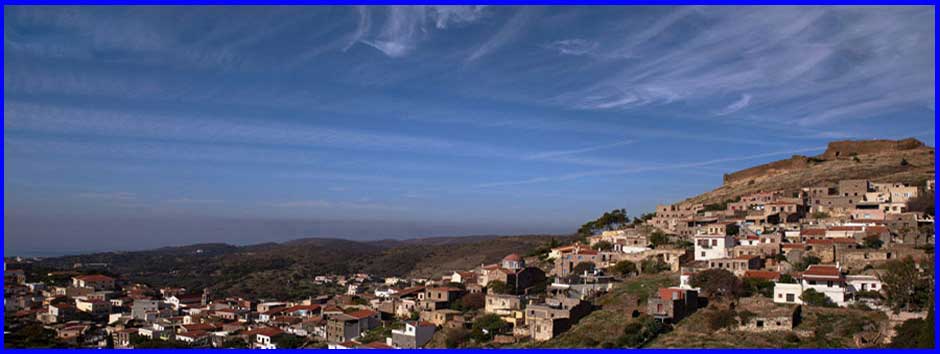 Image1